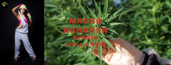 крисы Корсаков