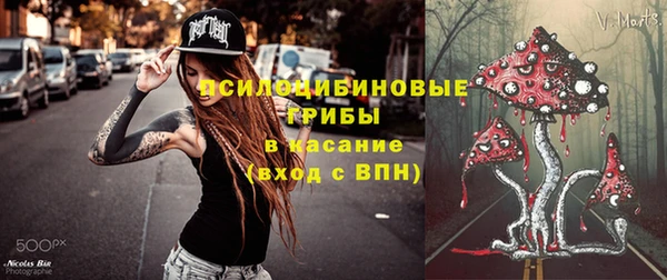 apvp Козельск