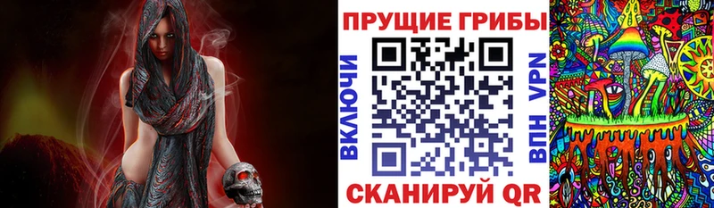 Купить где  Кадников  Галлюциногенные грибы Psilocybine cubensis 